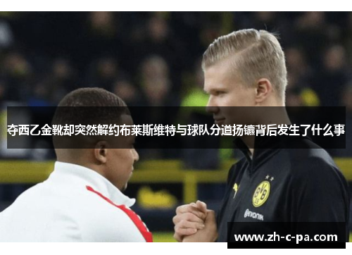 夺西乙金靴却突然解约布莱斯维特与球队分道扬镳背后发生了什么事 夺西乙金靴却突然解约布莱斯维特与球队分道扬镳背后发生了什么事